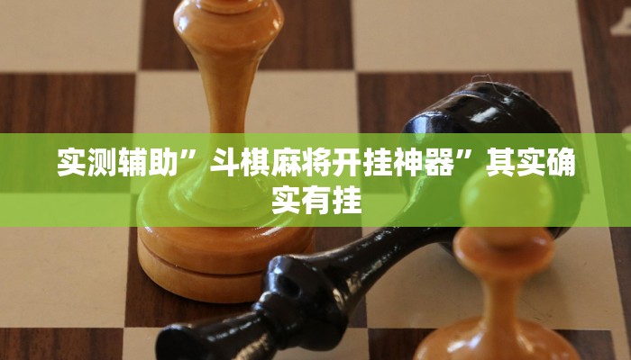 实测辅助”斗棋麻将开挂神器”其实确实有挂