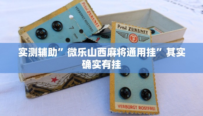实测辅助”微乐山西麻将通用挂”其实确实有挂