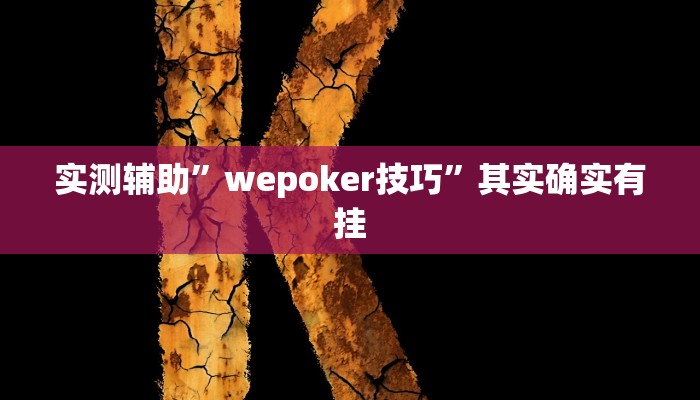 实测辅助”wepoker技巧”其实确实有挂