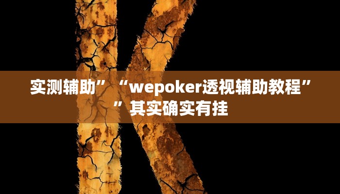 实测辅助”“wepoker透视辅助教程””其实确实有挂