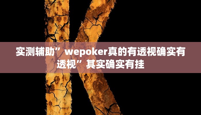 实测辅助”wepoker真的有透视确实有透视”其实确实有挂