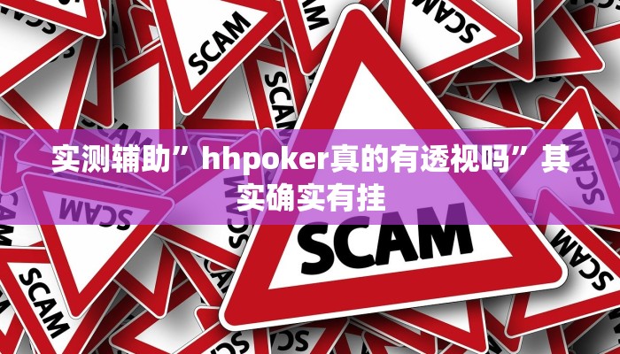 实测辅助”hhpoker真的有透视吗”其实确实有挂